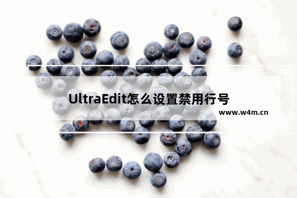 UltraEdit怎么设置禁用行号