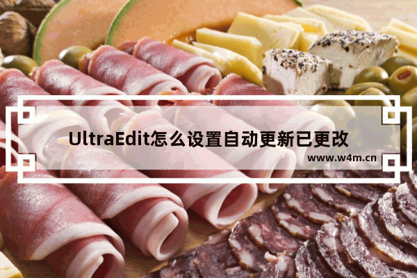 UltraEdit怎么设置自动更新已更改的文件