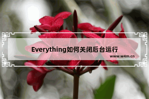 Everything如何关闭后台运行