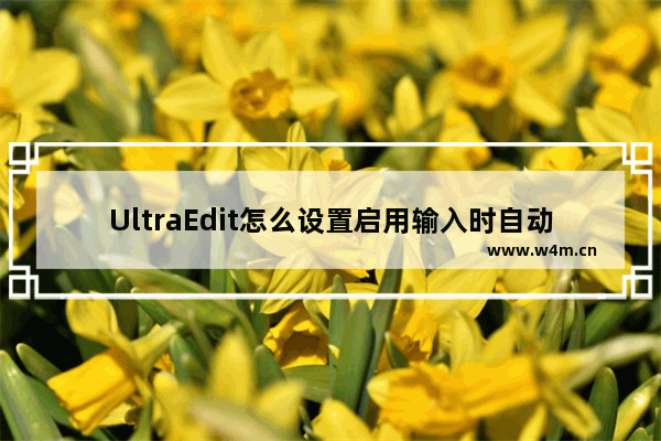 UltraEdit怎么设置启用输入时自动拼写