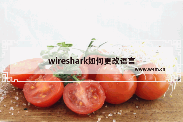 wireshark如何更改语言