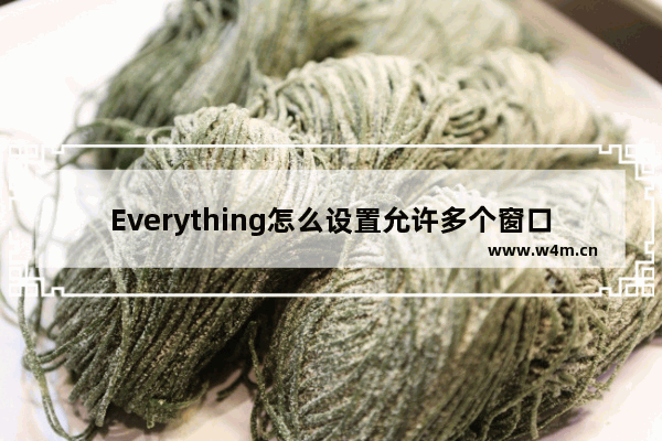 Everything怎么设置允许多个窗口运行