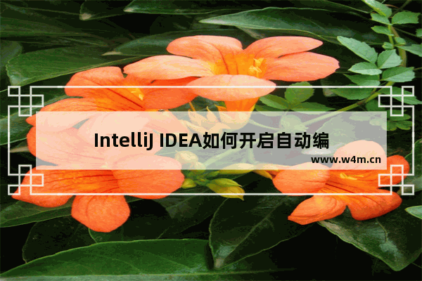 IntelliJ IDEA如何开启自动编译