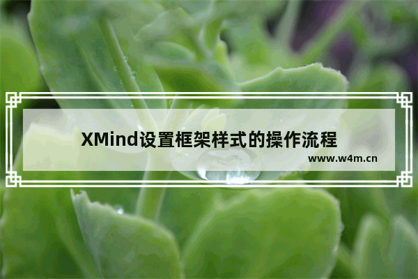 XMind设置框架样式的操作流程