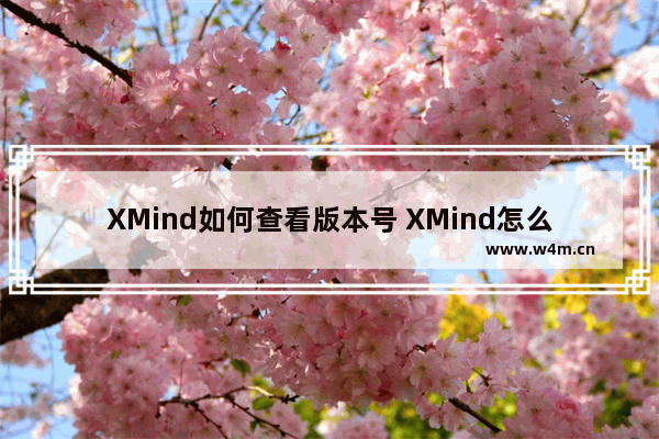 XMind如何查看版本号 XMind怎么查看版本号