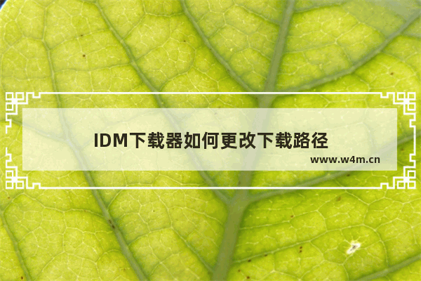 IDM下载器如何更改下载路径