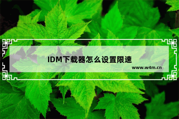 IDM下载器怎么设置限速