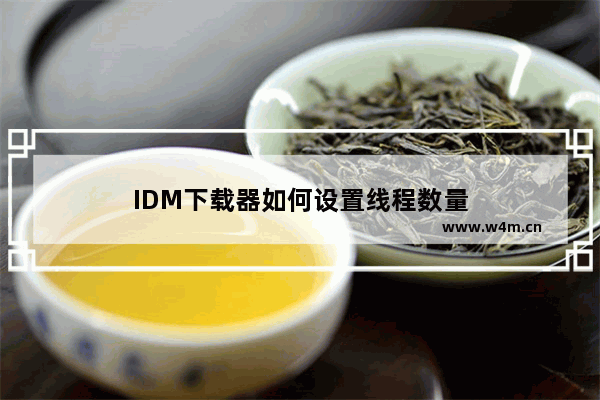 IDM下载器如何设置线程数量