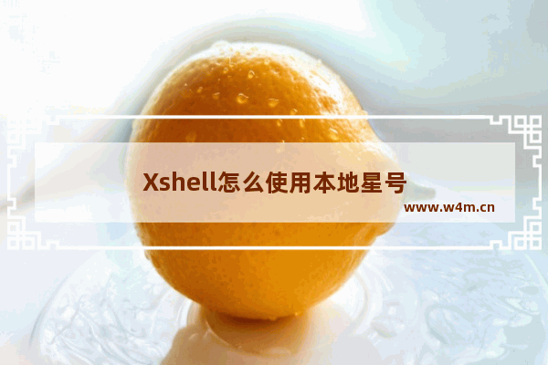 Xshell怎么使用本地星号