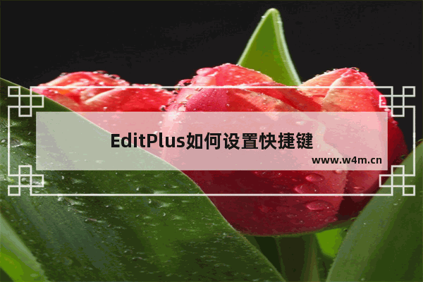 EditPlus如何设置快捷键