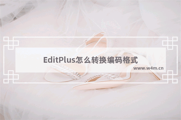 EditPlus怎么转换编码格式