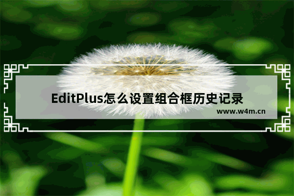 EditPlus怎么设置组合框历史记录