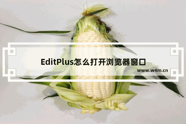 EditPlus怎么打开浏览器窗口