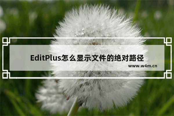 EditPlus怎么显示文件的绝对路径