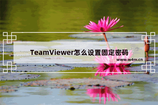 TeamViewer怎么设置固定密码