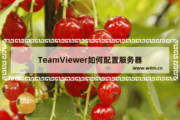 TeamViewer如何配置服务器