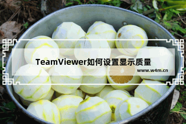 TeamViewer如何设置显示质量