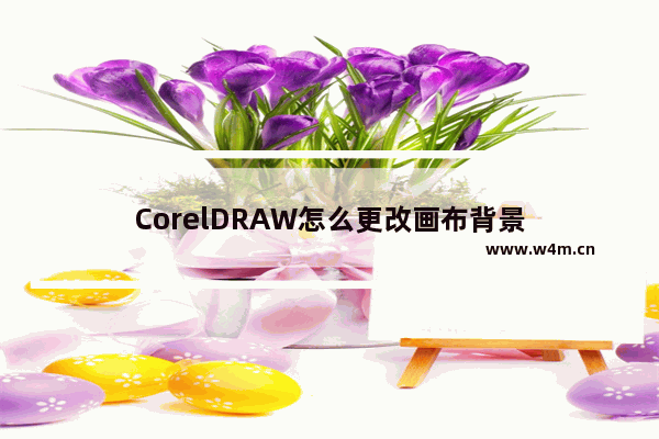 CorelDRAW怎么更改画布背景