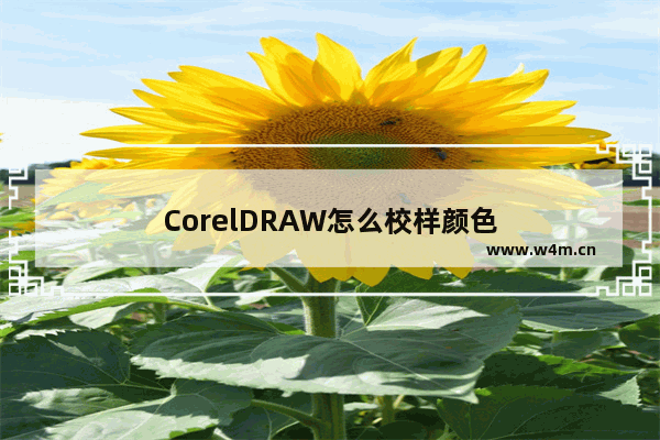 CorelDRAW怎么校样颜色