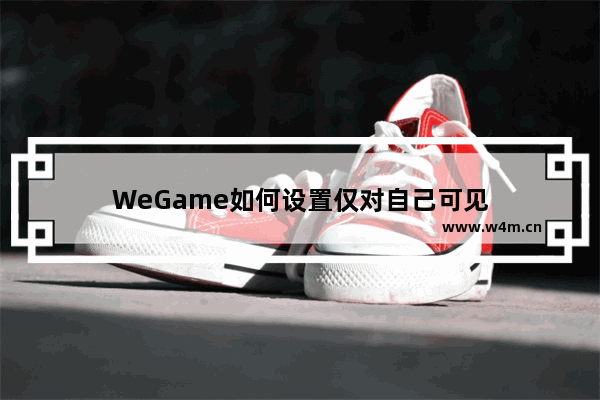 WeGame如何设置仅对自己可见