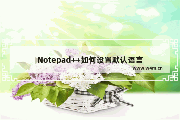 Notepad++如何设置默认语言