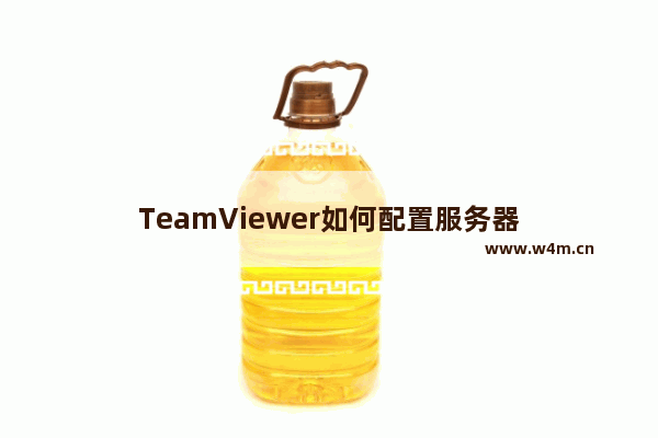 TeamViewer如何配置服务器