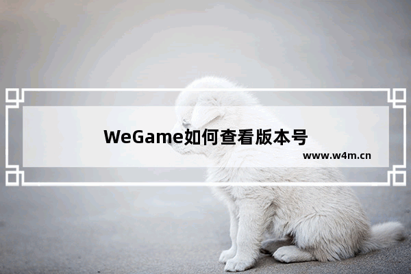 WeGame如何查看版本号