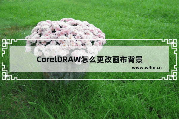 CorelDRAW怎么更改画布背景