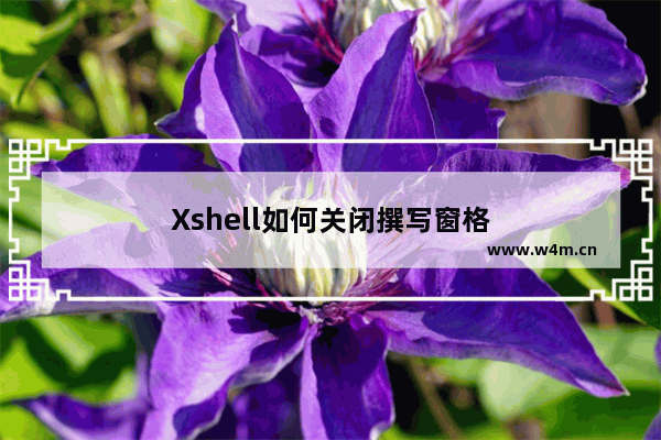 Xshell如何关闭撰写窗格