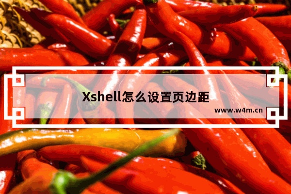 Xshell怎么设置页边距