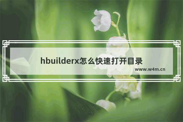 hbuilderx怎么快速打开目录