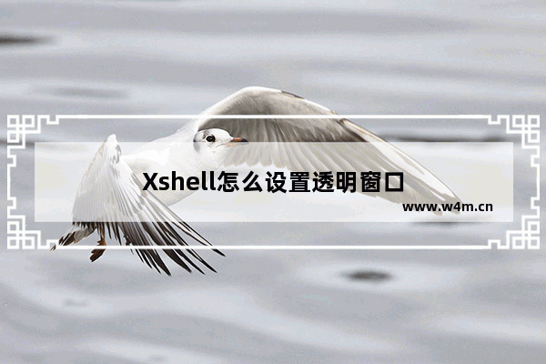 Xshell怎么设置透明窗口