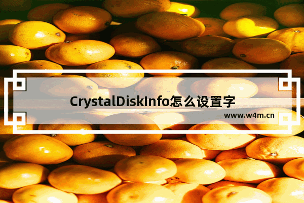 CrystalDiskInfo怎么设置字体