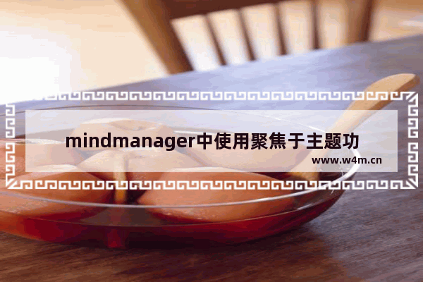 mindmanager中使用聚焦于主题功能的操作教程