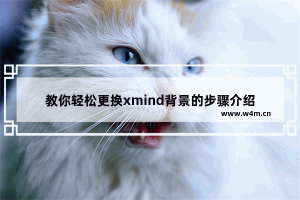 教你轻松更换xmind背景的步骤介绍