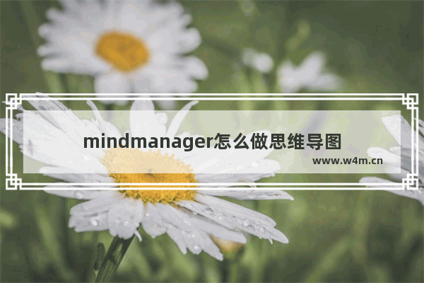 mindmanager怎么做思维导图