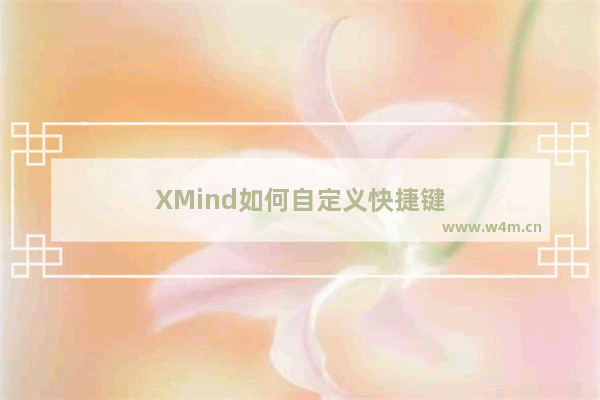 XMind如何自定义快捷键