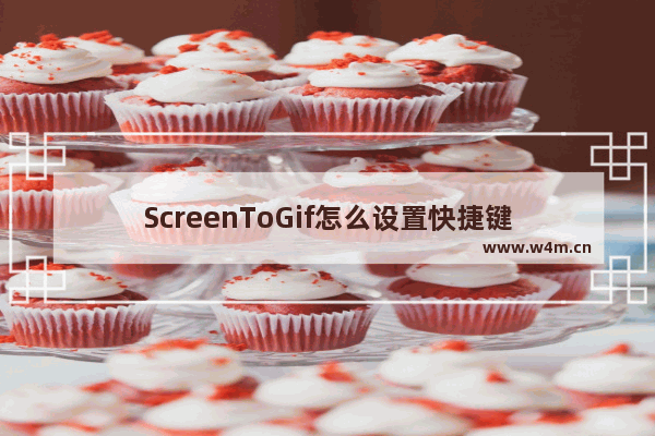 ScreenToGif怎么设置快捷键