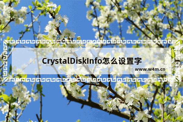 CrystalDiskInfo怎么设置字体