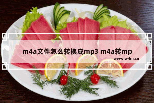 m4a文件怎么转换成mp3 m4a转mp3格式转换器