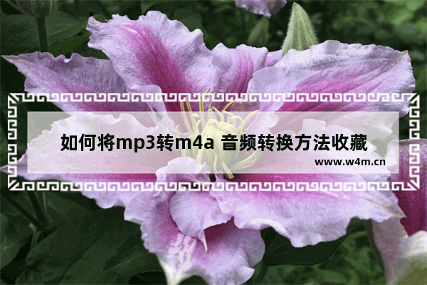 如何将mp3转m4a 音频转换方法收藏