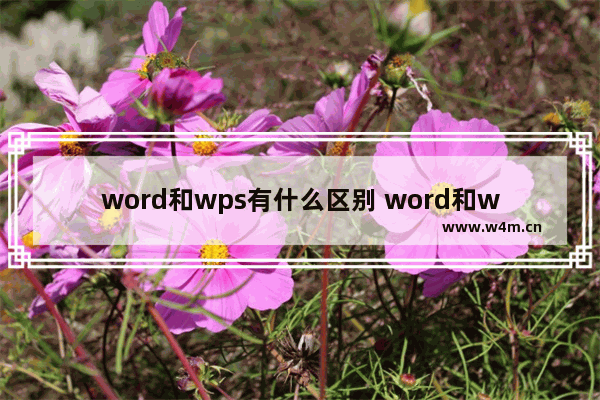 word和wps有什么区别 word和wps是一个软件吗