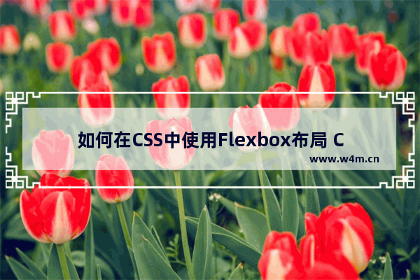 如何在CSS中使用Flexbox布局 CSS掌握Flexbox布局