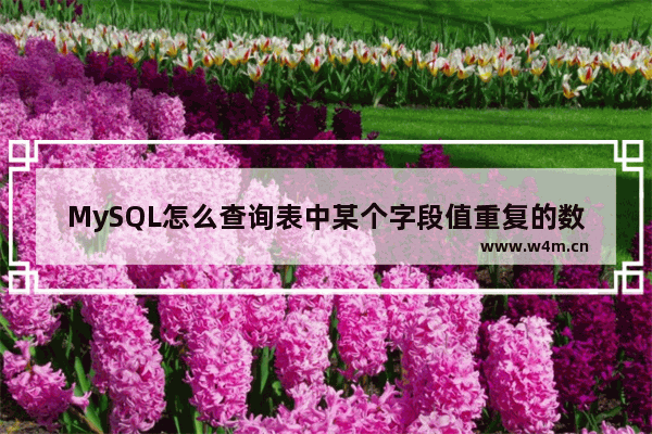 MySQL怎么查询表中某个字段值重复的数据 mysql查询某个字段重复数大于1