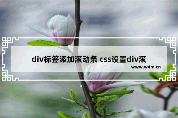 div标签添加滚动条 css设置div滚动条位置