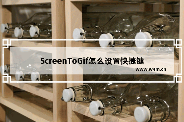 ScreenToGif怎么设置快捷键