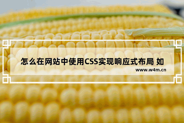 怎么在网站中使用CSS实现响应式布局 如何通过css进行响应式布局