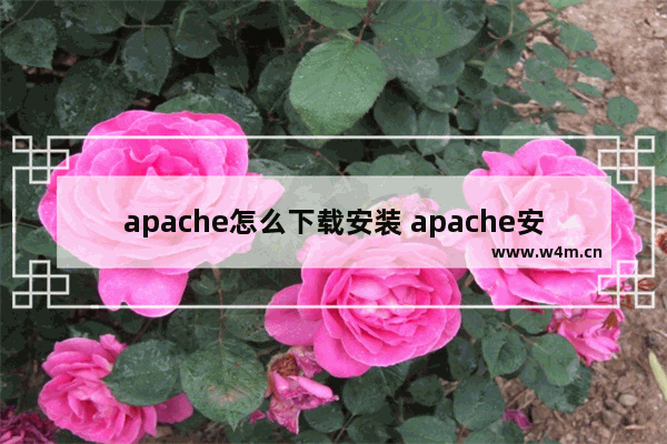 apache怎么下载安装 apache安装教程详解