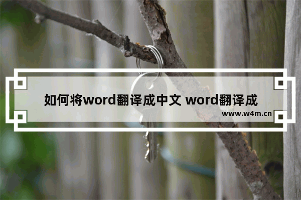 如何将word翻译成中文 word翻译成中文怎么操作