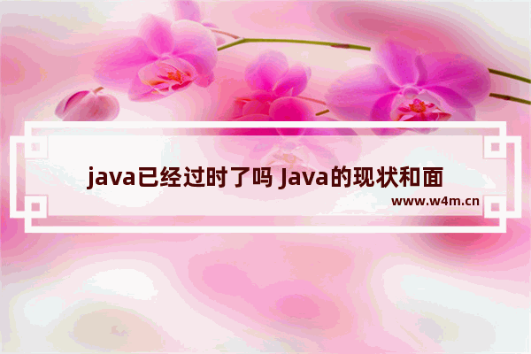 java已经过时了吗 Java的现状和面临的挑战